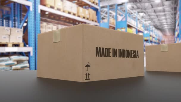 Scatole con testo MADE IN INDONESIA su nastro trasportatore. Prodotti israeliani relativi all'animazione 3D loop - Filmati, video