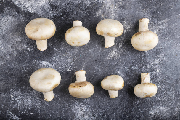 Bando de deliciosos cogumelos brancos crus colocados na superfície de mármore. Foto de alta qualidade - Foto, Imagem