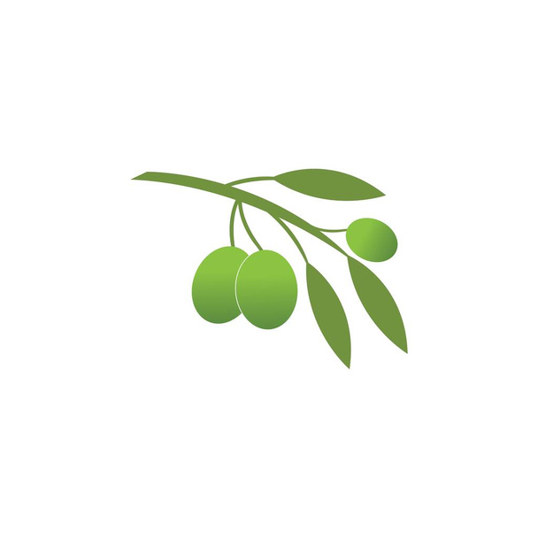 Оливковий шаблон логотипу Векторний дизайн ілюстрації
 - Вектор, зображення