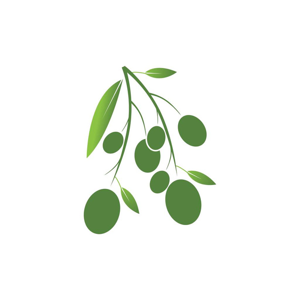 Olive logo template vector icon illustration design - Vector, Image