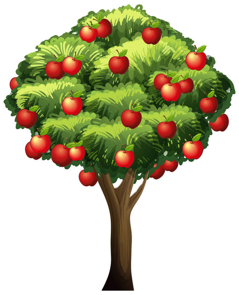 Apple tree isolated on white background illustration - Vektor, obrázek