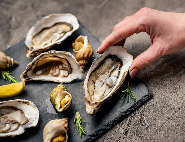 Set of oysters and snails on black platter - Foto, Bild