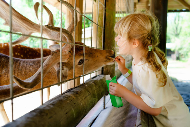 Adorable cute preschool girl feeding little wild deer in a wild animal forest park. Happy child petting animals on summer day. Excited and happy girl on family weekend, children activity in summer. - Foto, immagini