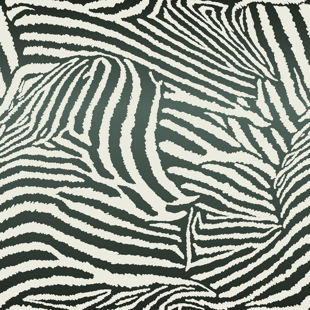 Animal Zebra Seamless Background - Vetor, Imagem