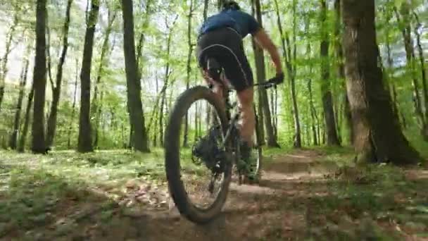 A cyclist is riding through the forest. He is pedaling fast. He is wearing cycling gear. The camera is shooting from behind. 4K 50fps - Footage, Video