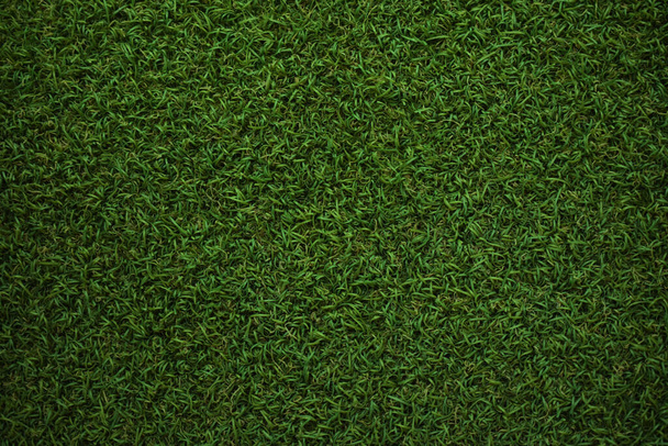 Grama verde textura fundo vista superior do jardim de grama Ideia conceito usado para fazer pano de fundo verde e gramado para o treinamento de campo de futebol - Foto, Imagem