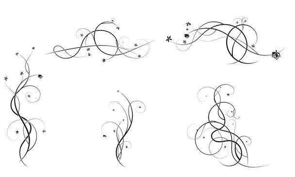 koriste-elementtejä curl rypäleen suunnittelu. varaston vektorikuvaa - Vektori, kuva