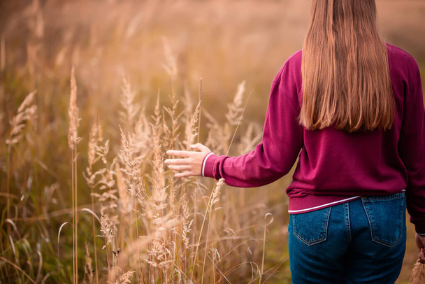 meisje staan op de achtergrond gras in de buitenlucht, in het veld in het zonlicht. Halve lengte, bovenste helft. De wind blaast haar. Herfstdag. - Foto, afbeelding