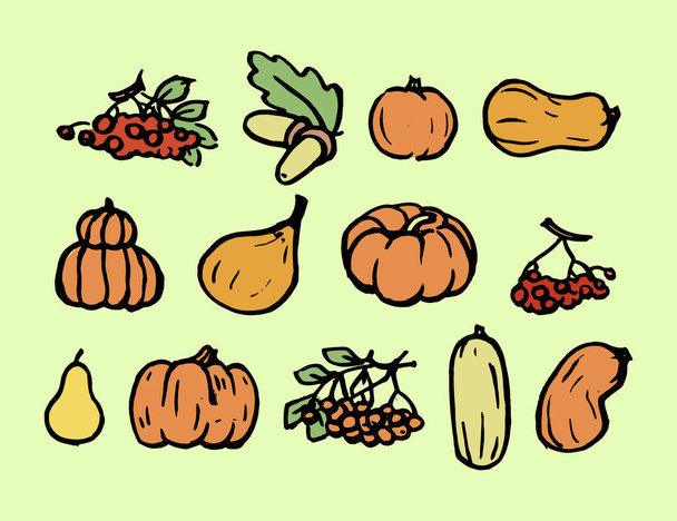 Autumn harvest. A large collection of pumpkins, zucchini, berries, fruits, vegetables are drawn by hand. Colored vector illustration. - Vector, Image