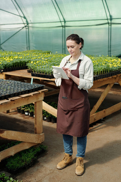 Kypsä viljelijä käyttää tabletin seisoessaan yksi taulukoista taimet - Valokuva, kuva