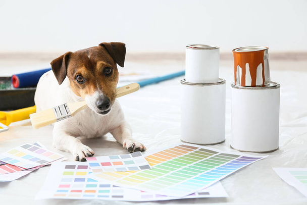 Cute pies z pędzlem i próbki kolorów farby w pokoju - Zdjęcie, obraz