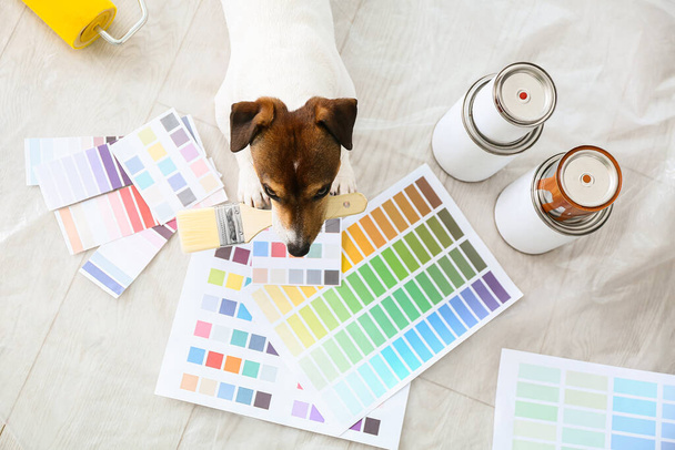 Cute pies z pędzlem i próbki kolorów farby w pokoju - Zdjęcie, obraz