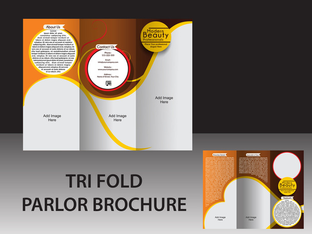 TRI FOLD PARLOR BROCHURE - Vector, Imagen