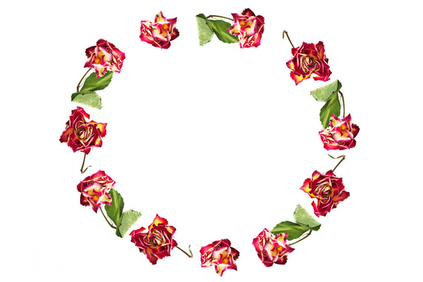 Πλαίσιο. αποξηραμένη κεφαλή τριαντάφυλλου απομονωμένη σε λευκό φόντο. Χλωρίδα  - Φωτογραφία, εικόνα