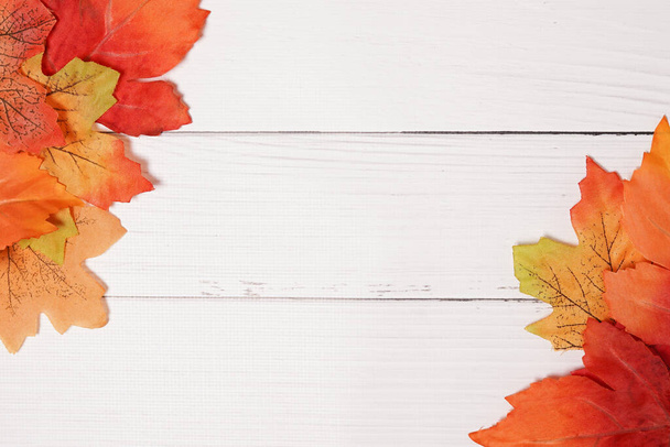 Sfondo autunnale con foglie colorate su tavola di legno bianca
 - Foto, immagini