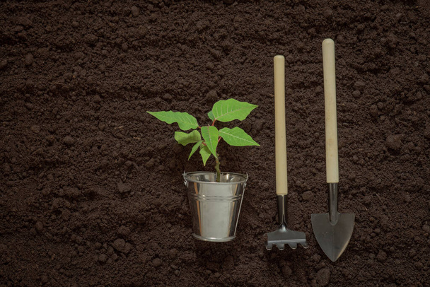 garden tools, rake and shovel on dug soil, seasonal gardening, farming, landscaping, design, plant a tree, free space - Фото, изображение