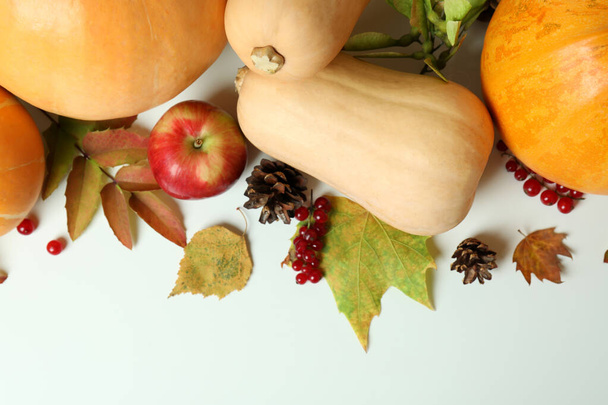 Thanksgiving Day compositie met pompoenen op witte tafel - Foto, afbeelding