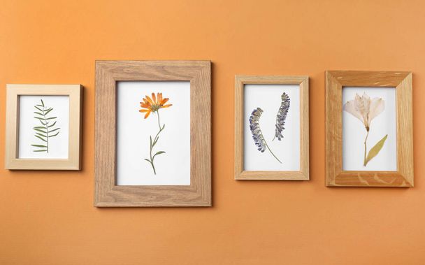 Frames with pressed dried flowers and plant leaf on orange background. Beautiful herbarium - Φωτογραφία, εικόνα