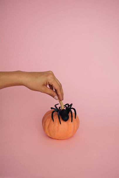 Small orange pumping with black spider on pink background. Aesthetic minimal coposition. Spooky hand shadow. - Φωτογραφία, εικόνα