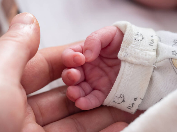 Ouder houden in de handen kleine hand van pasgeboren baby. - Foto, afbeelding