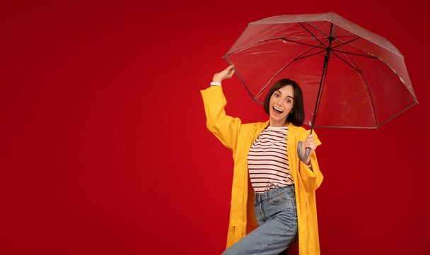 Koncept deštivého počasí. Radostná mladá dáma stojící pod průhledným deštníkem nad červeným pozadím, panorama - Fotografie, Obrázek