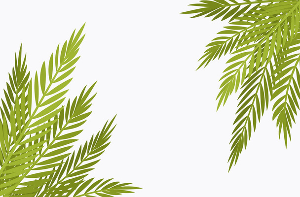 Palm tree corner background, copyspace for tropical themed decor - Διάνυσμα, εικόνα