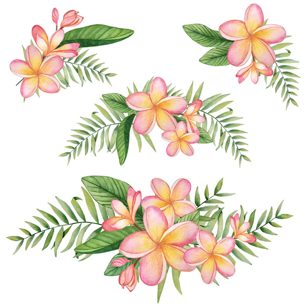 Set of compositions from flowers and leaves. Watercolor plumeria and palm tree on white background - Foto, afbeelding