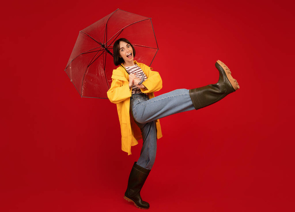 Pozytywna pani w dobrym nastroju w butach i żółtym płaszczu przeciwdeszczowym, chodząca pod przezroczystym parasolem na czerwonym tle - Zdjęcie, obraz