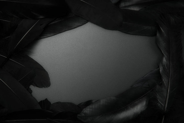 eksoottisia pehmeä kaunis musta sulka musta tausta rakenne, musta sulka runko kopio tilaa moderni muotoilu, pehmeä tumma abstrakti tausta - Valokuva, kuva