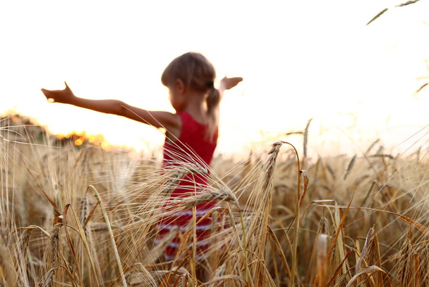fille enfant se réjouit au lever ou au coucher du soleil dans un champ de blé - Photo, image