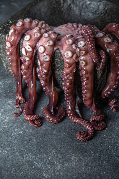 Raw octopus in black stone plate. Black background. Top view. Copy space - Foto, Bild
