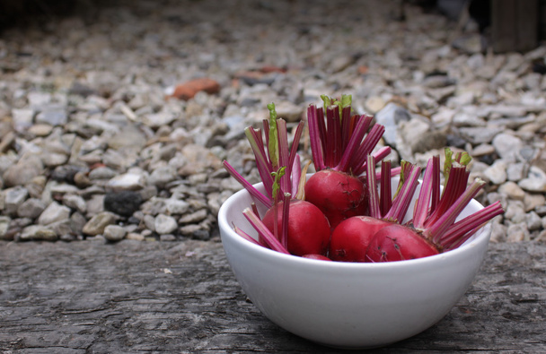 Beetroot in a Bowl - Photo, Image