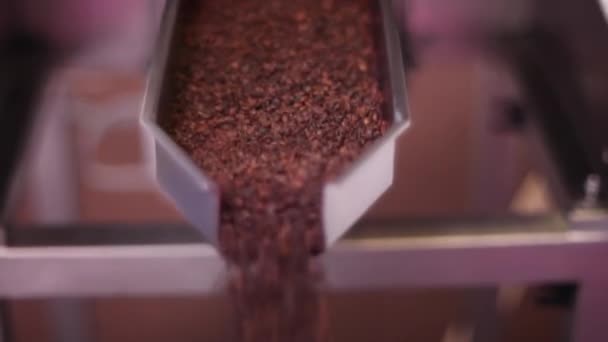 Coffee Industry, Close up of coffee production. - Footage, Video