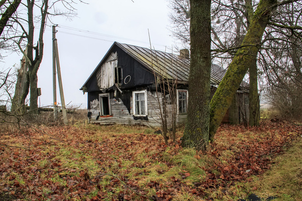 Samengevouwen huis onder Herfstbladeren - Foto, afbeelding