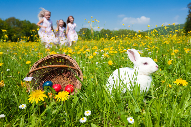 Easter bunny on a beautiful - Photo, Image