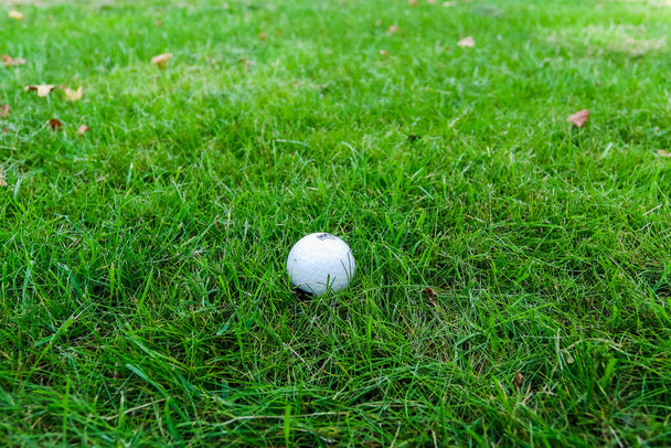 Golf ball on green grass of golf course. - Fotoğraf, Görsel
