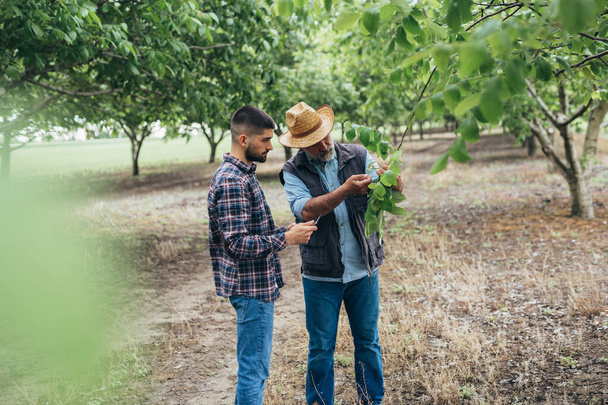 farmers talking outdoor in orchard - Fotó, kép