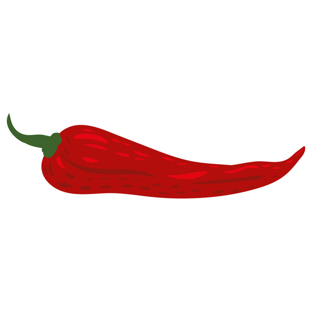 Pimienta picante roja producto natural de nutrición orgánica saludable. Vector doodle dibujos animados plana de moda ilustración dibujado a mano aislado - Vector, imagen