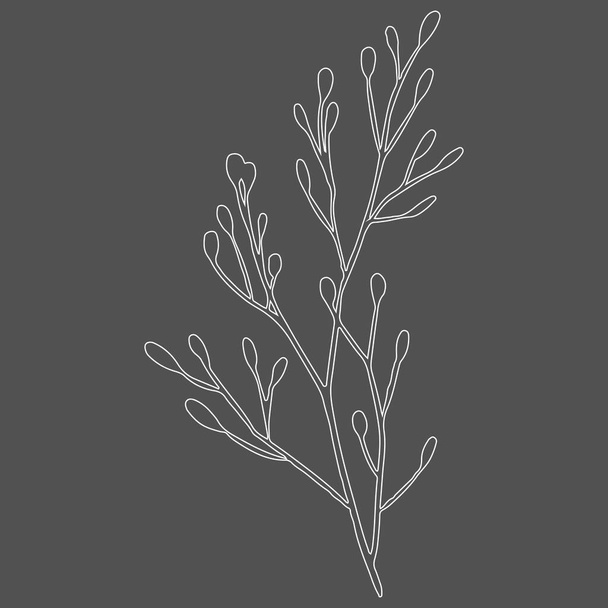 Vector illustration of a branch with foliage. Silhouette. Line. Design for fabric, printing, wallpaper, packaging, posters, medicine, beauty, postcards. - Vektor, obrázek