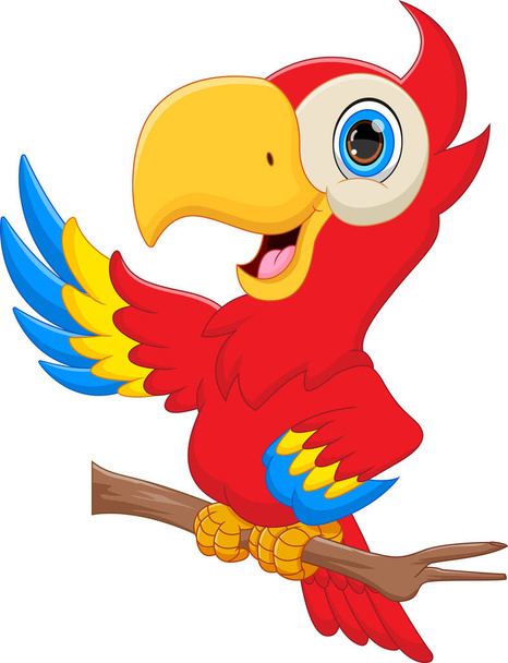 carino pappagallo cartone animato su sfondo bianco - Vettoriali, immagini