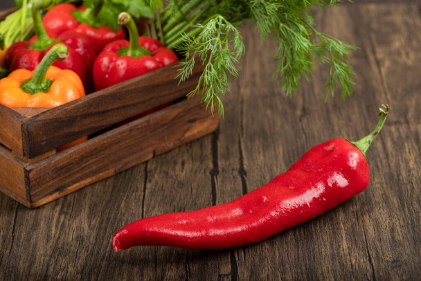 Wooden box of fresh bell peppers, dill and chili pepper on wooden background. High quality photo - Photo, Image