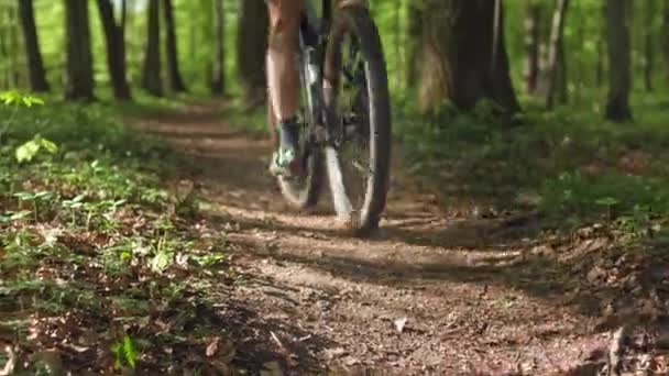 A cyclist is riding at high speed along a forest path. He is wearing cycling gear. Shooting from behind. Training on an MTB bike. 4K  - Footage, Video