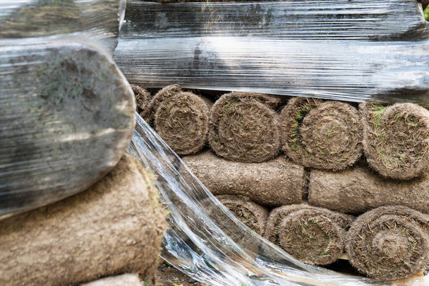 Grass turf rolls piled up on the Moscow street during road repairs in summer - Фото, изображение