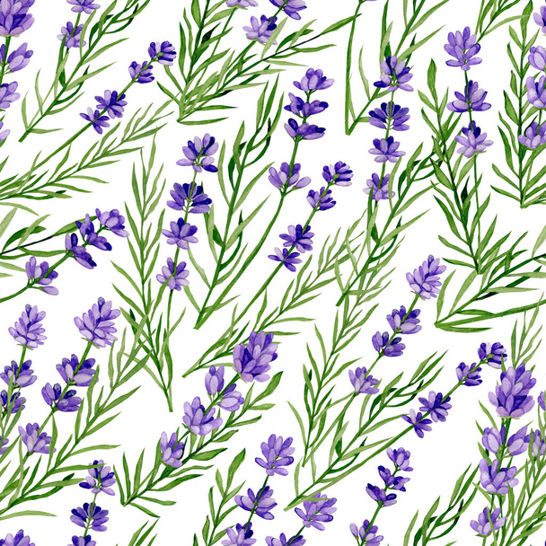 Watercolour hand drawn branches of lavender on a white background. - Fotografie, Obrázek
