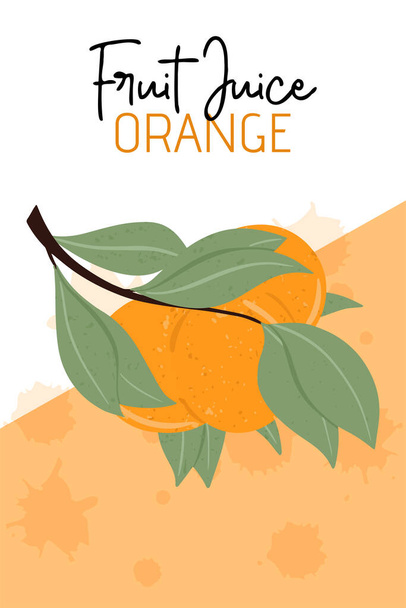 Návrh balení ovocné pomerančové šťávy. Pomerančové plody na větvi s ručně kreslenými ilustracemi. Pomerančové plátky, napůl mandarinky. Mandarinky, vitamíny, chutné a šťavnaté ovoce pro farmářský trh. - Vektor, obrázek