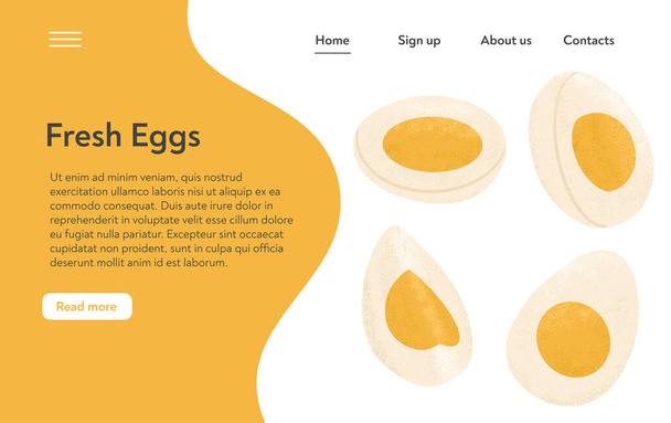 Gekochte Eier, halb geschnittene Vektor-Hand gezeichnet Landing-Page-Konzept. Gesunde biologische Lebensmittel. - Vektor, Bild