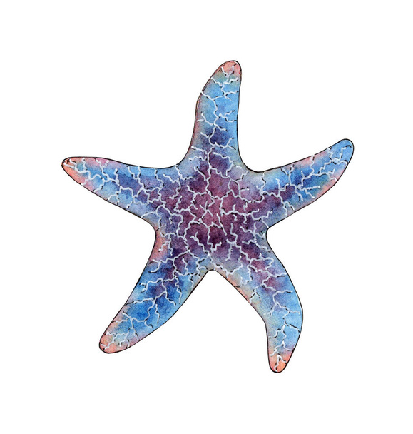 Watercolor painting lilac starfish. Ocean, marine animals. Inhabitant of the seabed. Five rays of the star. Isolated over white background. Drawn by hand. - Foto, Imagen