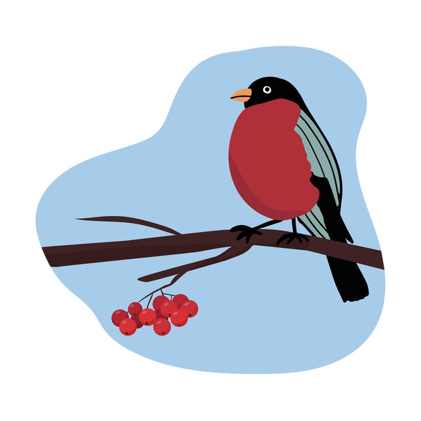 木の枝に座っているブルフィンチの鳥。赤いローワンベリー。ベクトルフラットイラスト. - ベクター画像