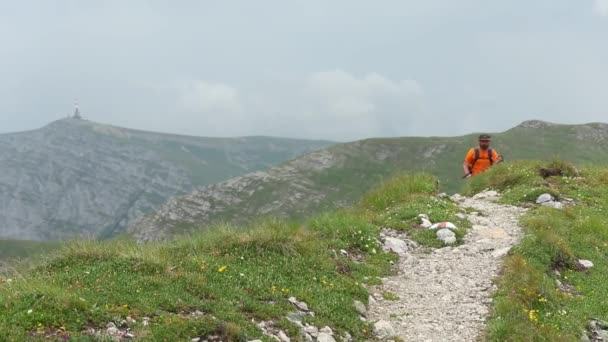 Wędrowiec spaceruje po górskim szlaku w piękny letni dzień  - Materiał filmowy, wideo