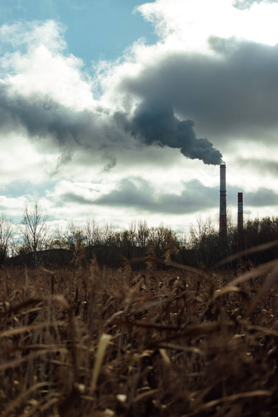 Termik santralin boruları ufukta duman çıkarıyor. Kırsal sonbahar manzarası. Solan doğa ve çevresel kirlilik. Fabrika fırınını soğutmak için teknik gölet - Fotoğraf, Görsel